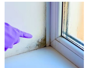 Stručnjak otkrio trik: Evo kako da vaši prozori ove zime ostanu suhi, bez vlage i plijesni Stručnjak otkrio trik: Evo kako da vaši prozori ove zime ostanu suhi, bez vlage i plijesni