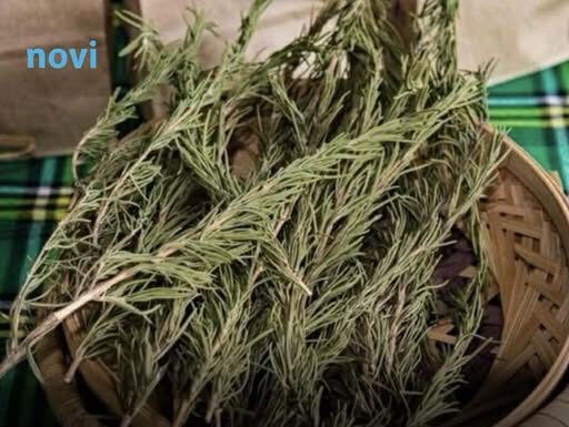 Sve više ljudi pali grančice ruzmarina u domu: Evo zašto Sve više ljudi pali grančice ruzmarina u domu: Evo zašto