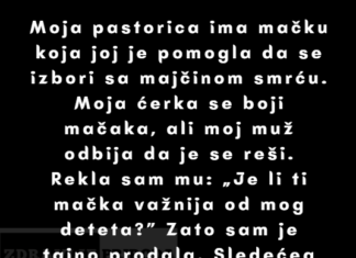 „Tajno sam prodala mačku svoje pastorice — moja ćerka se plašila nje.“ „Tajno sam prodala mačku svoje pastorice — moja ćerka se plašila nje.“