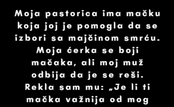„Tajno sam prodala mačku svoje pastorice — moja ćerka se plašila nje.“ „Tajno sam prodala mačku svoje pastorice — moja ćerka se plašila nje.“