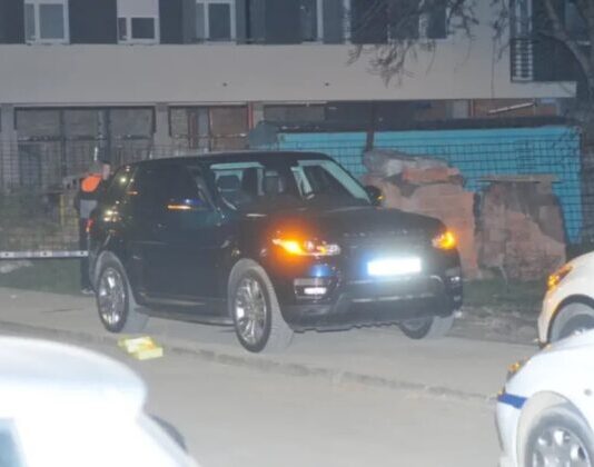 Teodora (30) je ubijena greškom, sumnja se da meta bio sadašnji dečko pjevačice Edite Aradinović Teodora (30) je ubijena greškom, sumnja se da meta bio sadašnji dečko pjevačice Edite Aradinović