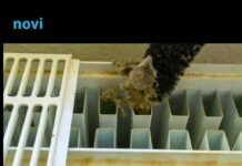 Trik da vam radijatori bolje griju i da smanjite račune za struju: Evo šta trebate uraditi Trik da vam radijatori bolje griju i da smanjite račune za struju: Evo šta trebate uraditi