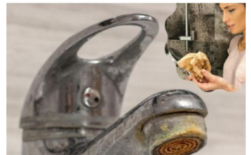 Trik za ČIŠĆENJE KAMENCA se širi kao zaraza: Poznata influenserka otkrila caku – ne treba vam NI VODA, samo 1 stvar koju SVI imamo Trik za ČIŠĆENJE KAMENCA se širi kao zaraza: Poznata influenserka otkrila caku – ne treba vam NI VODA, samo 1 stvar koju SVI imamo