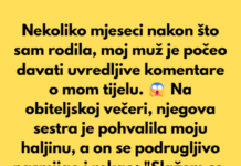 U razdoblju nakon poroda, muž je uvredljivo komentirao ženu i njezino tijelo. Tijekom obiteljske večere, ona se slomila — a nitko nije rekao ni riječ. U razdoblju nakon poroda, muž je uvredljivo komentirao ženu i njezino tijelo. Tijekom obiteljske večere, ona se slomila — a nitko nije rekao ni riječ.