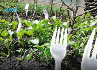 Učinkoviti trik: Evo zašto biste u svoj vrt ove zime trebali staviti plastične viljuške? Učinkoviti trik: Evo zašto biste u svoj vrt ove zime trebali staviti plastične viljuške?