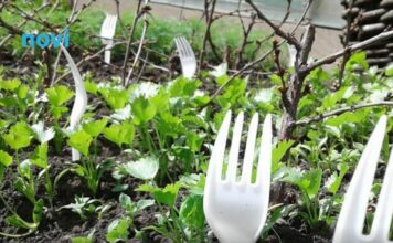 Učinkoviti trik: Evo zašto biste u svoj vrt ove zime trebali staviti plastične viljuške? Učinkoviti trik: Evo zašto biste u svoj vrt ove zime trebali staviti plastične viljuške?