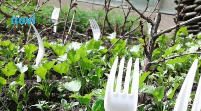 Učinkoviti trik: Evo zašto biste u svoj vrt ove zime trebali staviti plastične viljuške? Učinkoviti trik: Evo zašto biste u svoj vrt ove zime trebali staviti plastične viljuške?