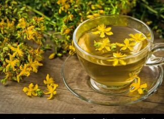 Uzmite samo jedan gutljaj ovog čaja i osetićete kako se vaše telo opušta, a um zaboravlja na sve probleme, brige i stres Uzmite samo jedan gutljaj ovog čaja i osetićete kako se vaše telo opušta, a um zaboravlja na sve probleme, brige i stres