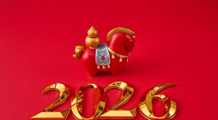 Veliki istočni horoskop za 2026. godinu: Talas sreće za ova 3 znaka kreće već od 6. novembra, sve će im ići od ruke Veliki istočni horoskop za 2026. godinu: Talas sreće za ova 3 znaka kreće već od 6. novembra, sve će im ići od ruke