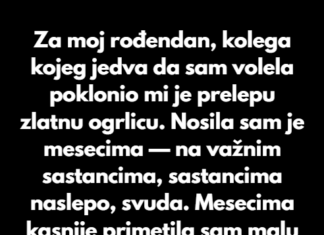 Za moj rođendan, kolega kojeg jedva da sam volela poklonio mi je prelepu zlatnu ogrlicu. Za moj rođendan, kolega kojeg jedva da sam volela poklonio mi je prelepu zlatnu ogrlicu.