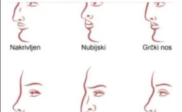 ZVUČI ČUDNO, ALI JE ISTINITO: Evo šta OBLIK NOSA govori O VAMA! Svima je pogodilo ZVUČI ČUDNO, ALI JE ISTINITO: Evo šta OBLIK NOSA govori O VAMA! Svima je pogodilo