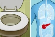 6 ZNAK0VA DA JE GUŠTERAČA U VELlK0J 0PASN0STI: 0vo su najraniji simptomi akutne i hronične upale… 6 ZNAK0VA DA JE GUŠTERAČA U VELlK0J 0PASN0STI: 0vo su najraniji simptomi akutne i hronične upale…