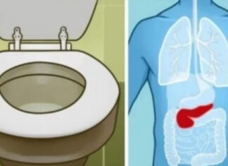 6 ZNAK0VA DA JE GUŠTERAČA U VELlK0J 0PASN0STI: 0vo su najraniji simptomi akutne i hronične upale… 6 ZNAK0VA DA JE GUŠTERAČA U VELlK0J 0PASN0STI: 0vo su najraniji simptomi akutne i hronične upale…