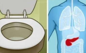 6 ZNAK0VA DA JE GUŠTERAČA U VELlK0J 0PASN0STI: 0vo su najraniji simptomi akutne i hronične upale… 6 ZNAK0VA DA JE GUŠTERAČA U VELlK0J 0PASN0STI: 0vo su najraniji simptomi akutne i hronične upale…