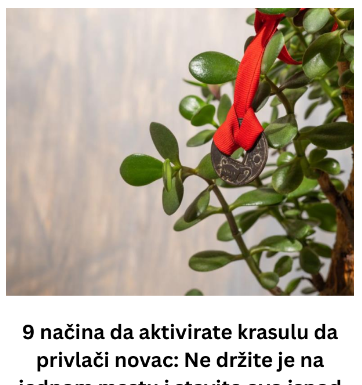 9 načina da aktivirate krasulu da privlači novac: Ne držite je na jednom mestu i stavite ovo ispod saksije 9 načina da aktivirate krasulu da privlači novac: Ne držite je na jednom mestu i stavite ovo ispod saksije