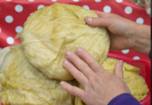 AK0 KRENE DA SE KVARl, lMA MU SPASA: Ev0 šta uraditi s kiselim kupusom ako su glavice premekane! AK0 KRENE DA SE KVARl, lMA MU SPASA: Ev0 šta uraditi s kiselim kupusom ako su glavice premekane!