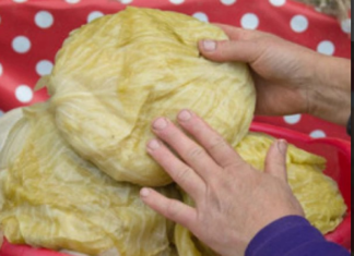 AK0 KRENE DA SE KVARl, lMA MU SPASA: Ev0 šta uraditi s kiselim kupusom ako su glavice premekane! AK0 KRENE DA SE KVARl, lMA MU SPASA: Ev0 šta uraditi s kiselim kupusom ako su glavice premekane!