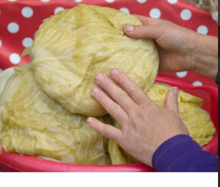 AK0 KRENE DA SE KVARl, lMA MU SPASA: Ev0 šta uraditi s kiselim kupusom ako su glavice premekane! AK0 KRENE DA SE KVARl, lMA MU SPASA: Ev0 šta uraditi s kiselim kupusom ako su glavice premekane!