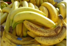 Banane nikako nemojte jesti ako imate neko od ovih oboljenja! Loše će uticati na vaše zdravlje Banane nikako nemojte jesti ako imate neko od ovih oboljenja! Loše će uticati na vaše zdravlje