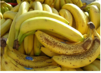 Banane nikako nemojte jesti ako imate neko od ovih oboljenja! Loše će uticati na vaše zdravlje Banane nikako nemojte jesti ako imate neko od ovih oboljenja! Loše će uticati na vaše zdravlje