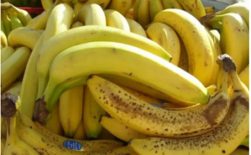 Banane nikako nemojte jesti ako imate neko od ovih oboljenja! Loše će uticati na vaše zdravlje Banane nikako nemojte jesti ako imate neko od ovih oboljenja! Loše će uticati na vaše zdravlje