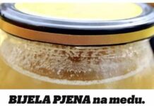 BIJELA PJENA na medu. Malo ljudi zna šta to zaista znači! BIJELA PJENA na medu. Malo ljudi zna šta to zaista znači!