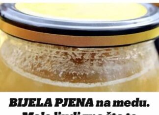 BIJELA PJENA na medu. Malo ljudi zna šta to zaista znači! BIJELA PJENA na medu. Malo ljudi zna šta to zaista znači!