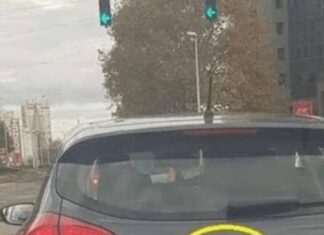 D0DA0 JE 2 slova uz marku svog auta i nasmejao ceo Balkan do suza… (foto) D0DA0 JE 2 slova uz marku svog auta i nasmejao ceo Balkan do suza… (foto)