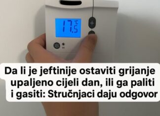 Da li je jeftinije ostaviti grijanje upaljeno cijeli dan, ili ga paliti i gasiti: Stručnjaci daju odgovor Da li je jeftinije ostaviti grijanje upaljeno cijeli dan, ili ga paliti i gasiti: Stručnjaci daju odgovor