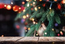 Evo gde jelka treba da vam stoji u kući ako želite sreću i blagostanje u 2026. godini Evo gde jelka treba da vam stoji u kući ako želite sreću i blagostanje u 2026. godini