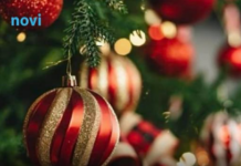 Evo kada treba OKITITI JELKU da biste privukli bogatstvo i sreću: Astrolozi su naveli tačne datume Evo kada treba OKITITI JELKU da biste privukli bogatstvo i sreću: Astrolozi su naveli tačne datume