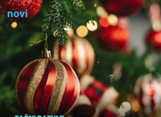 Evo kada treba OKITITI JELKU da biste privukli bogatstvo i sreću: Astrolozi su naveli tačne datume Evo kada treba OKITITI JELKU da biste privukli bogatstvo i sreću: Astrolozi su naveli tačne datume