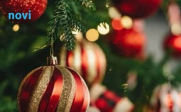 Evo kada treba OKITITI JELKU da biste privukli bogatstvo i sreću: Astrolozi su naveli tačne datume Evo kada treba OKITITI JELKU da biste privukli bogatstvo i sreću: Astrolozi su naveli tačne datume