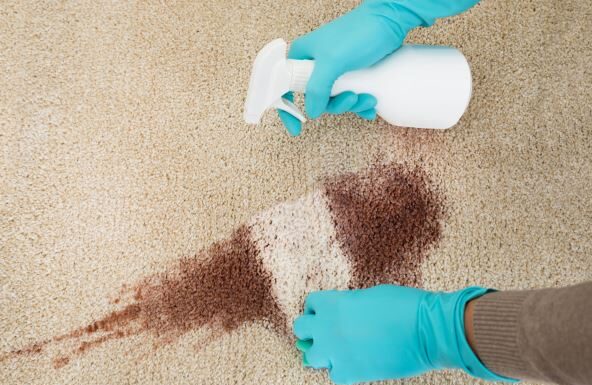 Evo kako da efikasno uklonite fleke od crvenog vina sa tepiha i garderobe: Sve što vam treba sigurno već imate u kući Evo kako da efikasno uklonite fleke od crvenog vina sa tepiha i garderobe: Sve što vam treba sigurno već imate u kući