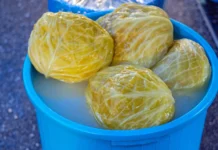 Evo ko ne bi trebao jesti kiseli kupus… Evo ko ne bi trebao jesti kiseli kupus…