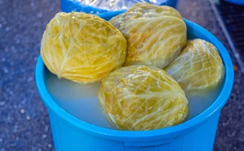 Evo ko ne bi trebao jesti kiseli kupus… Evo ko ne bi trebao jesti kiseli kupus…