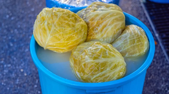 Evo ko ne bi trebao jesti kiseli kupus… Evo ko ne bi trebao jesti kiseli kupus…