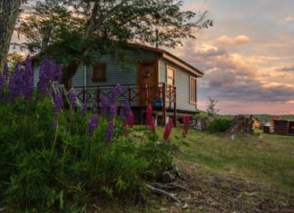 Gordana je u svom domu u Arilju ugostila brata i snajku iz Nemačke i gorko se pokajala: Dočekala sam ih srdačno, a oni me ponizili Gordana je u svom domu u Arilju ugostila brata i snajku iz Nemačke i gorko se pokajala: Dočekala sam ih srdačno, a oni me ponizili