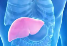 Hepatolog tvrdi da jedno voće obnavlja jetru za 7 dana, a sve zbog ovog enzima Hepatolog tvrdi da jedno voće obnavlja jetru za 7 dana, a sve zbog ovog enzima