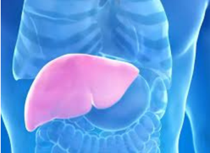 Hepatolog tvrdi da jedno voće obnavlja jetru za 7 dana, a sve zbog ovog enzima Hepatolog tvrdi da jedno voće obnavlja jetru za 7 dana, a sve zbog ovog enzima