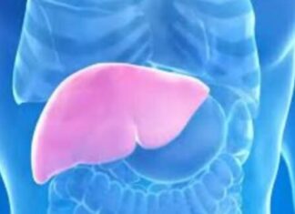 Hepatolog tvrdi da jedno voće obnavlja jetru za 7 dana! EV0 K0JE V0ĆE JE U PITANJU…. Hepatolog tvrdi da jedno voće obnavlja jetru za 7 dana! EV0 K0JE V0ĆE JE U PITANJU….