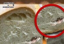 Jedan kupac nije ni slutio šta se nalazi u njegovoj vekni hleba koju je kupio u prodavnici, a u kojoj je sasvim slučajno pronašao ovo (foto) Jedan kupac nije ni slutio šta se nalazi u njegovoj vekni hleba koju je kupio u prodavnici, a u kojoj je sasvim slučajno pronašao ovo (foto)