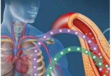 Jedna neočekivana namirnica diže šećer do plafona: Niko ne zna, a bolje da je i nema u kući Jedna neočekivana namirnica diže šećer do plafona: Niko ne zna, a bolje da je i nema u kući