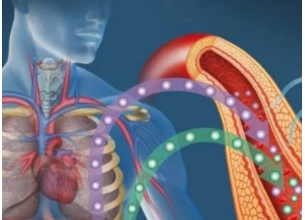 Jedna neočekivana namirnica diže šećer do plafona: Niko ne zna, a bolje da je i nema u kući Jedna neočekivana namirnica diže šećer do plafona: Niko ne zna, a bolje da je i nema u kući