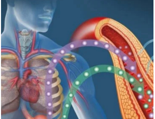Jedna neočekivana namirnica diže šećer do plafona: Niko ne zna, a bolje da je i nema u kući Jedna neočekivana namirnica diže šećer do plafona: Niko ne zna, a bolje da je i nema u kući