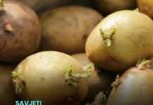 Kako spriječiti krompire da ne prokliju? Isprobajte fantastični trik naših baka! Kako spriječiti krompire da ne prokliju? Isprobajte fantastični trik naših baka!