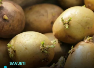Kako spriječiti krompire da ne prokliju? Isprobajte fantastični trik naših baka! Kako spriječiti krompire da ne prokliju? Isprobajte fantastični trik naših baka!