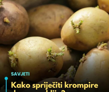 Kako spriječiti krompire da ne prokliju? Isprobajte fantastični trik naših baka! Kako spriječiti krompire da ne prokliju? Isprobajte fantastični trik naših baka!