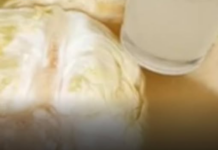 Kardiolog tvrdi da su ove 4 namirnice najgore za srce: Kaže da ih nikako ne valja jesti Kardiolog tvrdi da su ove 4 namirnice najgore za srce: Kaže da ih nikako ne valja jesti