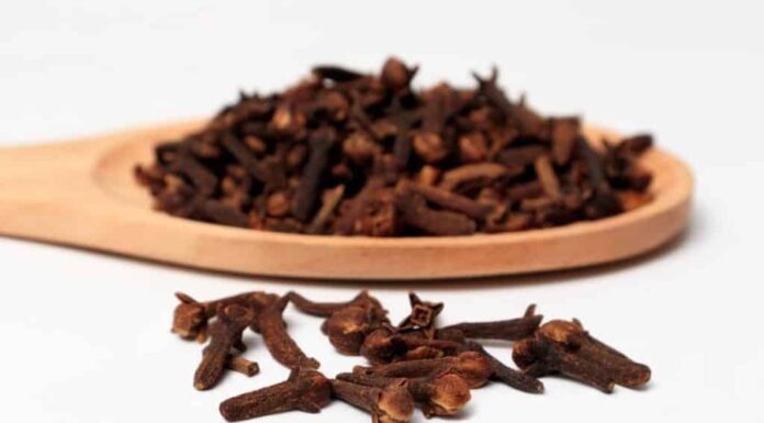 Kupatilo moje svekrve uvijek miriše čim se otvore vrata – evo u čemu je njena tajna! Kupatilo moje svekrve uvijek miriše čim se otvore vrata – evo u čemu je njena tajna!